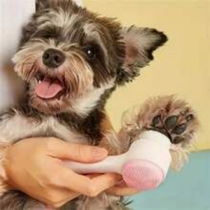 Easy-Clean Nylon Paw Brush Gentle Grooming for Pets
