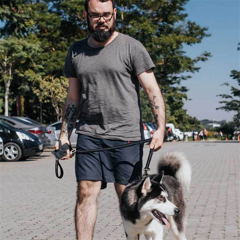 Multifunctional Adjustable Bungee Pet Leash With Seatbelt 4-6FT