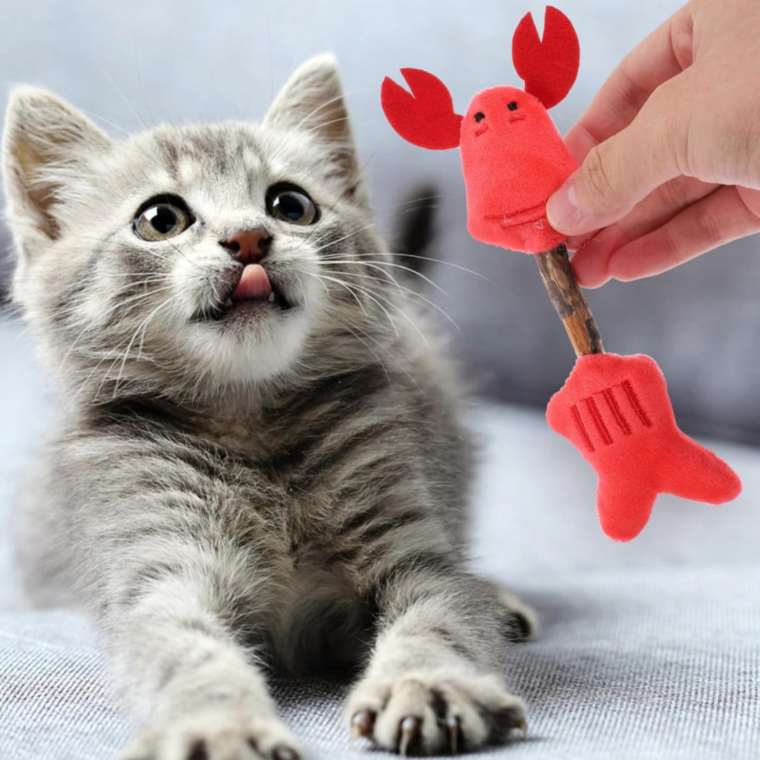 Silvervine Cat Chew Sticks Teeth Cleaning Kitten Toy