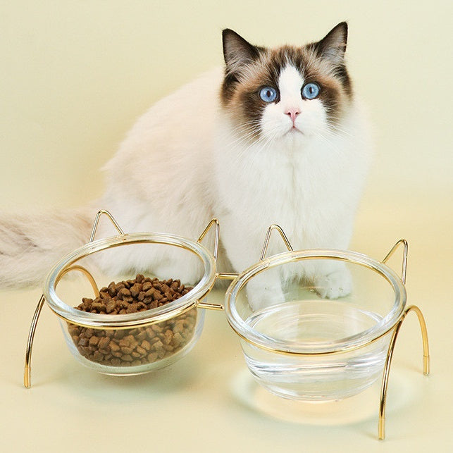 Glass Cat Bowl With Metal Rack 2-in-1 Feeder