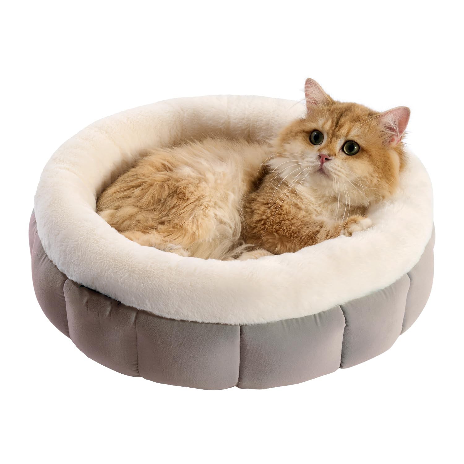 Donut Dog and Cat Bed Small Washable Anti-Slip